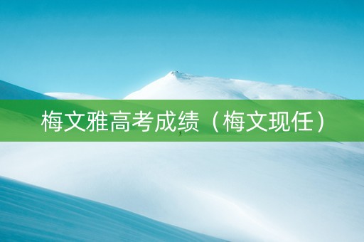 梅文雅高考成绩（梅文现任）