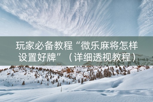 玩家必备教程“微乐麻将怎样设置好牌”（详细透视教程）-哔哩哔哩