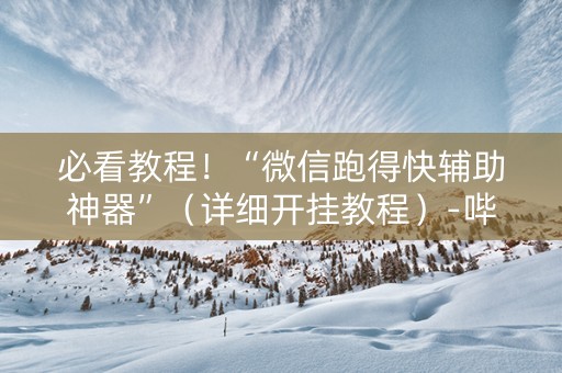 必看教程！“微信跑得快辅助神器”（详细开挂教程）-哔哩哔哩