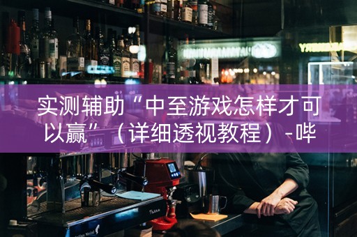 实测辅助“中至游戏怎样才可以赢”（详细透视教程）-哔哩哔哩