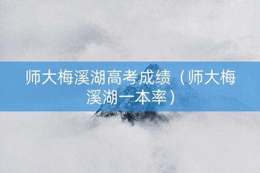 师大梅溪湖高考成绩（师大梅溪湖一本率）