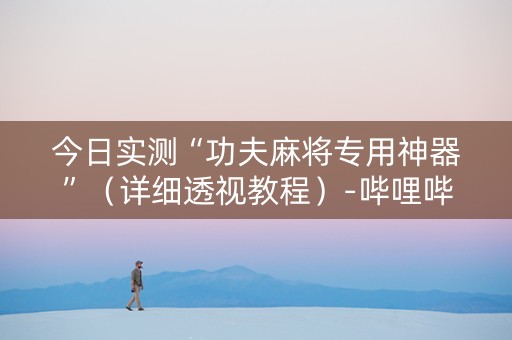 今日实测“功夫麻将专用神器”（详细透视教程）-哔哩哔哩