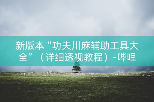 新版本“功夫川麻辅助工具大全”（详细透视教程）-哔哩哔哩