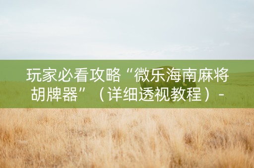 玩家必看攻略“微乐海南麻将胡牌器”（详细透视教程）-哔哩哔哩