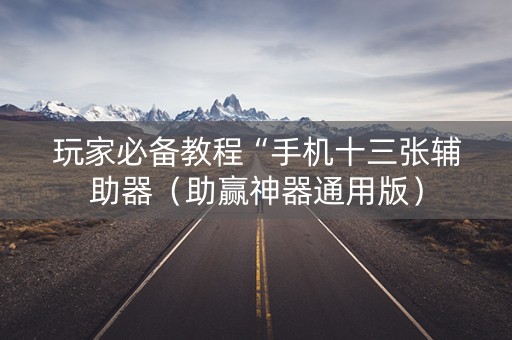 玩家必备教程“手机十三张辅助器（助赢神器通用版）