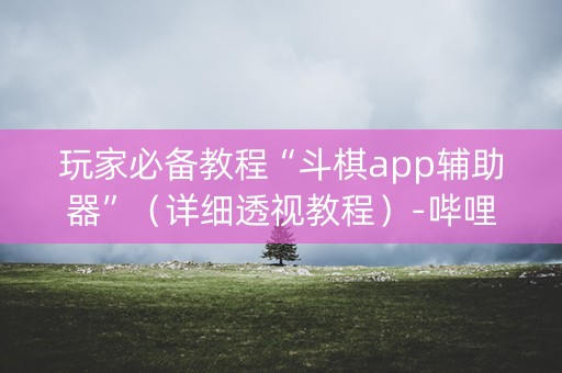 玩家必备教程“斗棋app辅助器”（详细透视教程）-哔哩哔哩