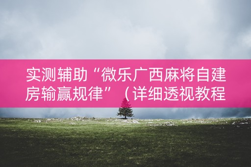 实测辅助“微乐广西麻将自建房输赢规律”（详细透视教程）-哔哩哔哩