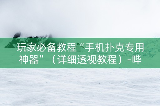玩家必备教程“手机扑克专用神器”（详细透视教程）-哔哩哔哩