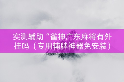 实测辅助“雀神广东麻将有外挂吗（专用辅牌神器免安装）