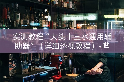 实测教程“大头十三水通用辅助器”（详细透视教程）-哔哩哔哩