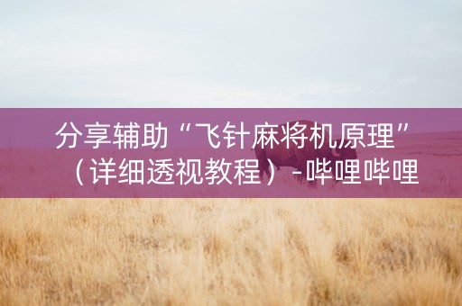 分享辅助“飞针麻将机原理”（详细透视教程）-哔哩哔哩