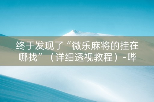 终于发现了“微乐麻将的挂在哪找”（详细透视教程）-哔哩哔哩