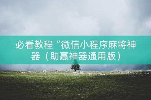 必看教程“微信小程序麻将神器（助赢神器通用版）
