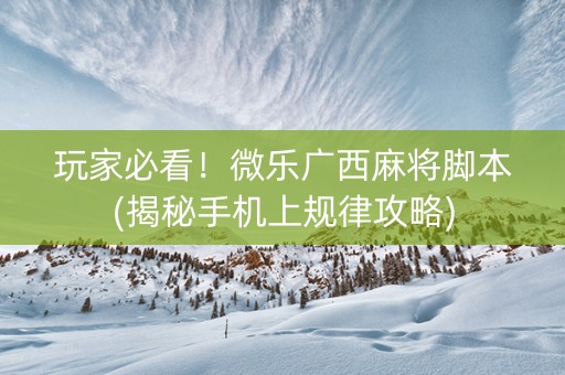 玩家必看！微乐广西麻将脚本(揭秘手机上规律攻略)