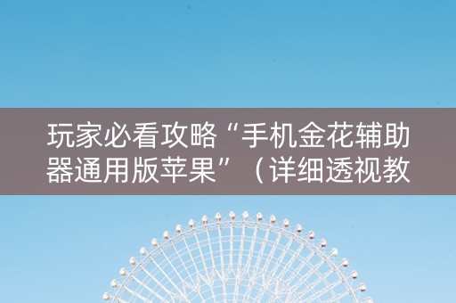 玩家必看攻略“手机金花辅助器通用版苹果”（详细透视教程）-哔哩哔哩