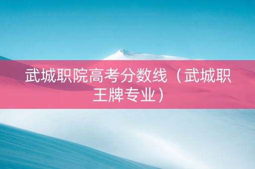 武城职院高考分数线（武城职王牌专业）