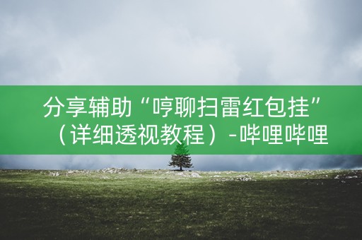 分享辅助“哼聊扫雷红包挂”（详细透视教程）-哔哩哔哩