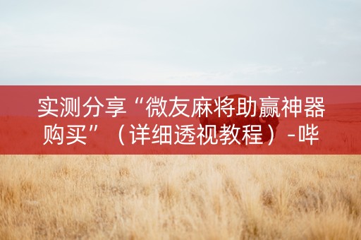 实测分享“微友麻将助赢神器购买”（详细透视教程）-哔哩哔哩