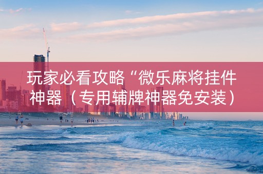 玩家必看攻略“微乐麻将挂件神器（专用辅牌神器免安装）