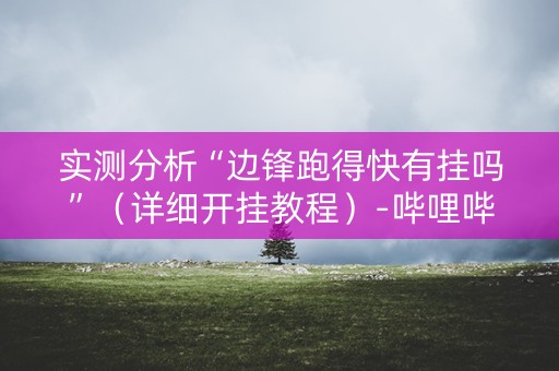 实测分析“边锋跑得快有挂吗”（详细开挂教程）-哔哩哔哩
