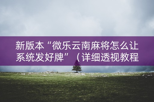 新版本“微乐云南麻将怎么让系统发好牌”（详细透视教程）-哔哩哔哩