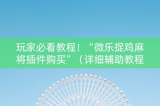 玩家必看教程！“微乐捉鸡麻将插件购买”（详细辅助教程）-哔哩哔哩