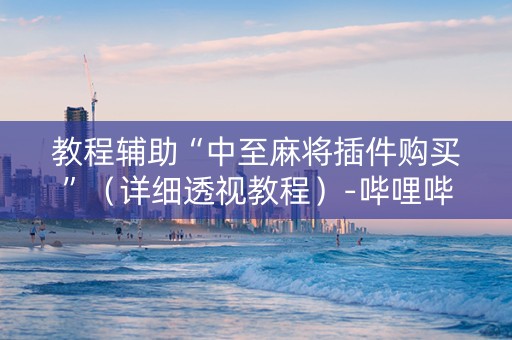 教程辅助“中至麻将插件购买”（详细透视教程）-哔哩哔哩
