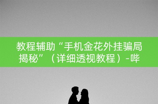 教程辅助“手机金花外挂骗局揭秘”（详细透视教程）-哔哩哔哩