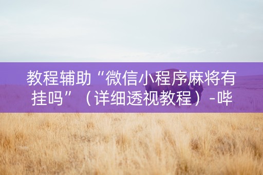 教程辅助“微信小程序麻将有挂吗”（详细透视教程）-哔哩哔哩