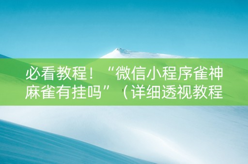 必看教程！“微信小程序雀神麻雀有挂吗”（详细透视教程）-哔哩哔哩