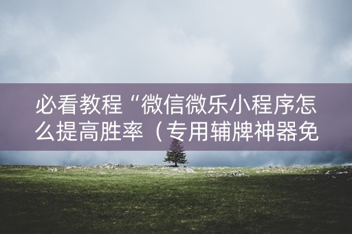 必看教程“微信微乐小程序怎么提高胜率（专用辅牌神器免安装）