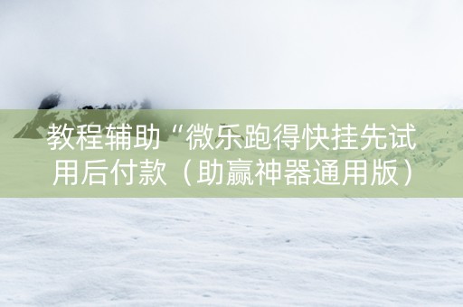 教程辅助“微乐跑得快挂先试用后付款（助赢神器通用版）