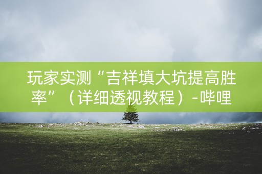 玩家实测“吉祥填大坑提高胜率”（详细透视教程）-哔哩哔哩