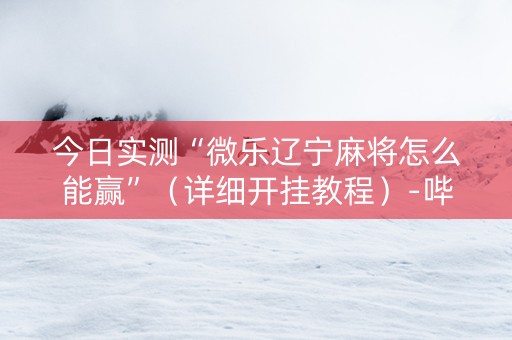 今日实测“微乐辽宁麻将怎么能赢”（详细开挂教程）-哔哩哔哩
