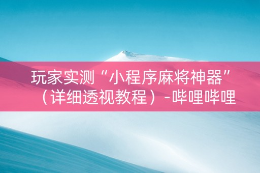 玩家实测“小程序麻将神器”（详细透视教程）-哔哩哔哩