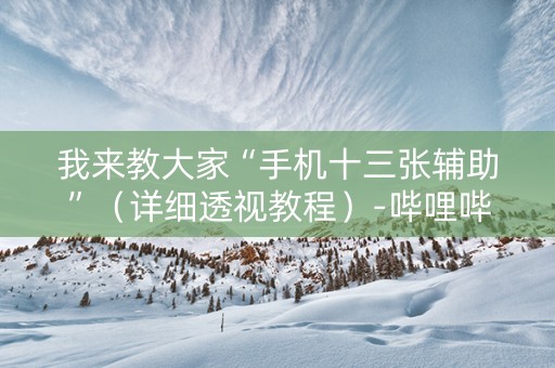 我来教大家“手机十三张辅助”（详细透视教程）-哔哩哔哩