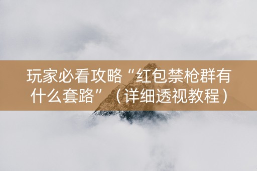 玩家必看攻略“红包禁枪群有什么套路”（详细透视教程）-哔哩哔哩