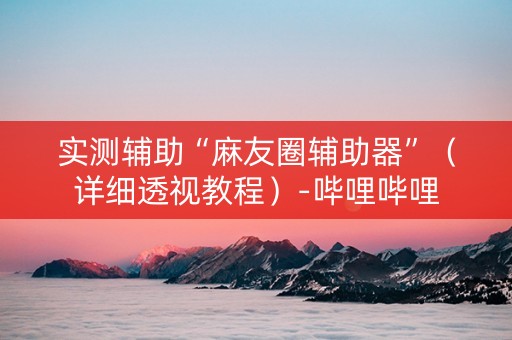 实测辅助“麻友圈辅助器”（详细透视教程）-哔哩哔哩