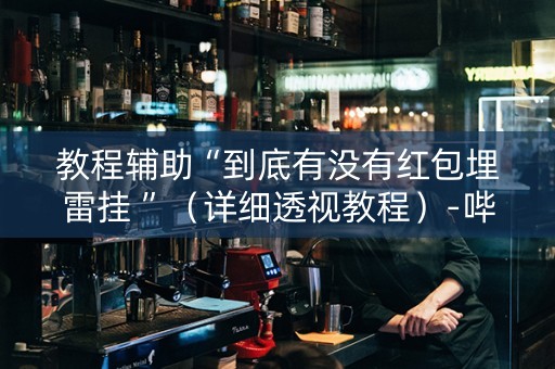 教程辅助“到底有没有红包埋雷挂 ”（详细透视教程）-哔哩哔哩