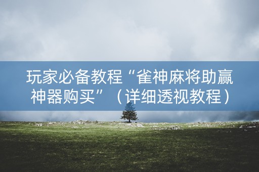 玩家必备教程“雀神麻将助赢神器购买”（详细透视教程）-哔哩哔哩