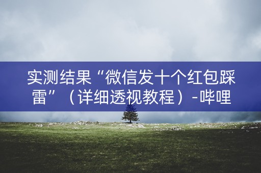实测结果“微信发十个红包踩雷”（详细透视教程）-哔哩哔哩