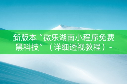 新版本“微乐湖南小程序免费黑科技”（详细透视教程）-哔哩哔哩