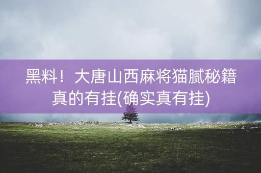 黑料！大唐山西麻将猫腻秘籍真的有挂(确实真有挂)