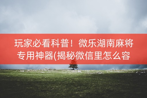 玩家必看科普！微乐湖南麻将专用神器(揭秘微信里怎么容易赢)