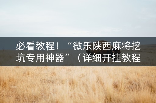 必看教程！“微乐陕西麻将挖坑专用神器”（详细开挂教程）-哔哩哔哩
