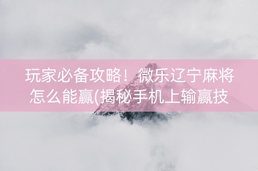 玩家必备攻略！微乐辽宁麻将怎么能赢(揭秘手机上输赢技巧)