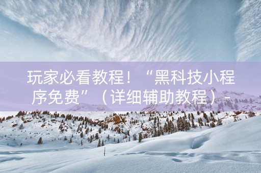 玩家必看教程！“黑科技小程序免费”（详细辅助教程）-哔哩哔哩