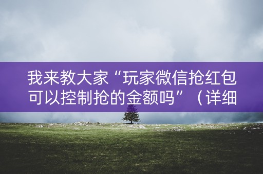 我来教大家“玩家微信抢红包可以控制抢的金额吗”（详细透视教程）-哔哩哔哩