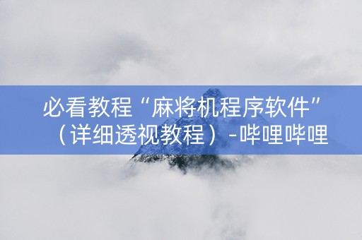 必看教程“麻将机程序软件”（详细透视教程）-哔哩哔哩
