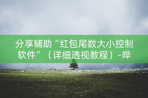 分享辅助“红包尾数大小控制软件”（详细透视教程）-哔哩哔哩